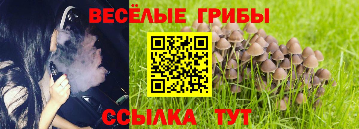 продажа наркотиков  Вход с VPN  Галлюциногенные грибы мухоморы  Еманжелинск  Галлюциногенные грибы прущие грибы 